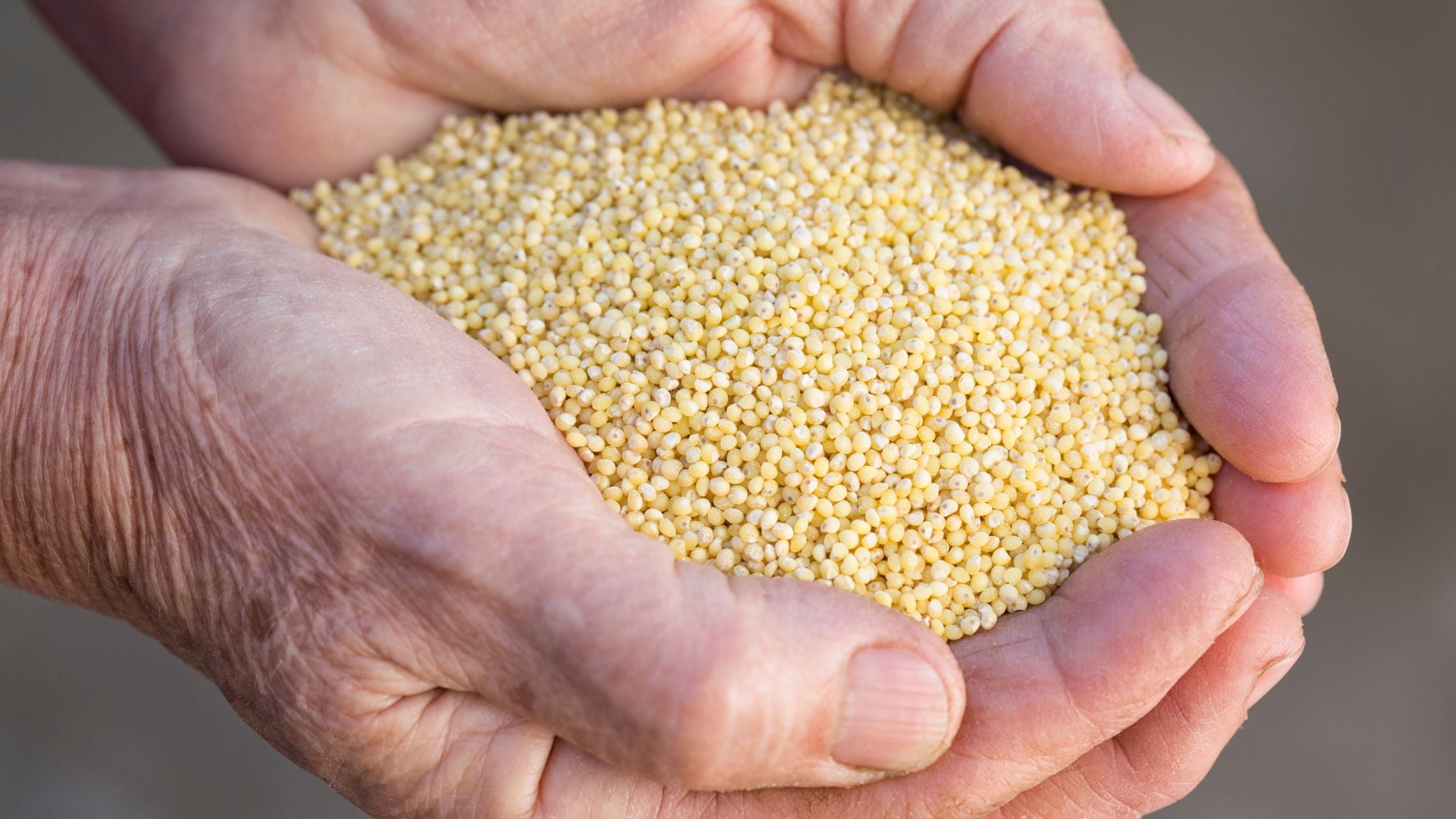 Best Millets in India