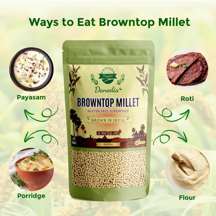 Danodia Foods Browntop Millet (2lbs | 950g | 33oz), Unpolished, Natural & Gluten-Free Whole Grain Superfood, Plant-Based, Grown in India