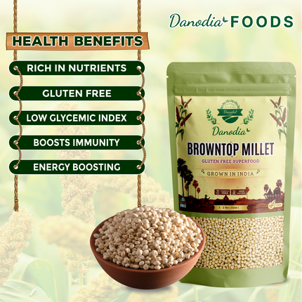 Danodia Foods Browntop Millet (2lbs | 950g | 33oz), Unpolished, Natural & Gluten-Free Whole Grain Superfood, Plant-Based, Grown in India
