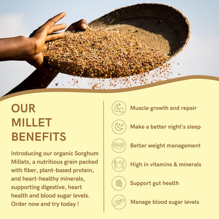 White Sorghum Flakes, Premium Breakfast Millet Flakes 950g