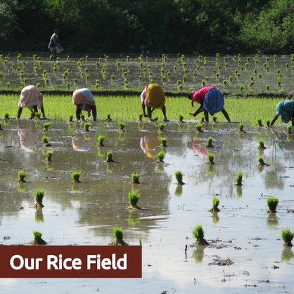 Organic Thooya Malli Rice, Low GI Traditional Rice 950g